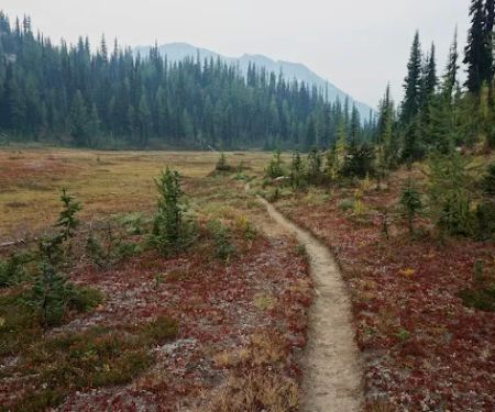 High Campground