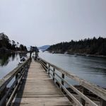 Raccoon Island Campground