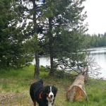 Penland Lake Campground