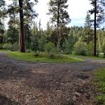 Emigrant Campground