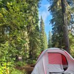 Woodward Campground
