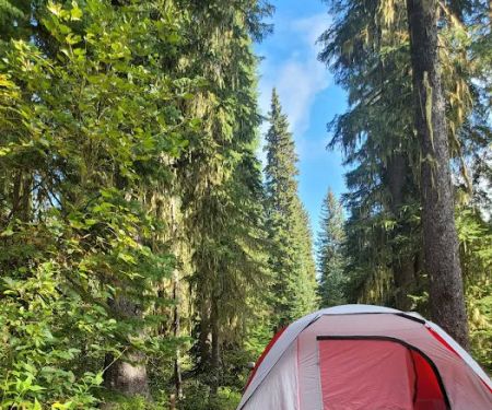 Woodward Campground