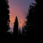 Woodland Campground