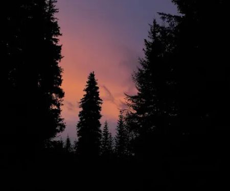 Woodland Campground
