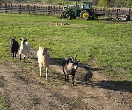 Echo River Farms