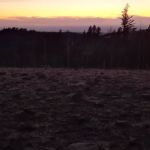 Midway Campground