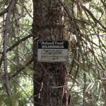 Ladybug Campground