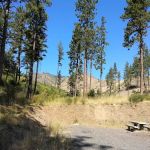 Wenaha -Tucannon Wilderness Dispersed Campground #6