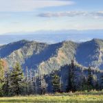 Wickiup Campground