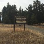 Coyote Campground