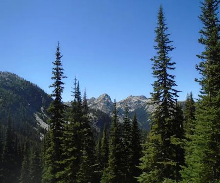 Hidden Meadows Campground