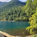 Fairholme Campground