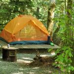 Sol Duc Rainforest Retreat