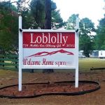 Loblolly