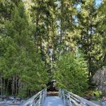 McMillan Campground