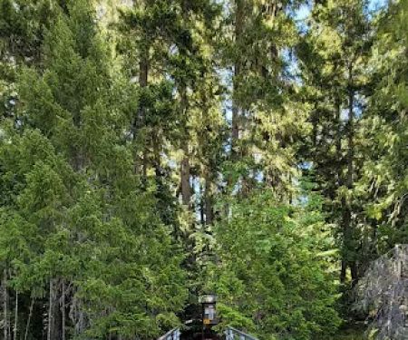 McMillan Campground