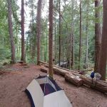 May Creek Stock Camp