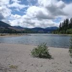 Swift Forest Camp