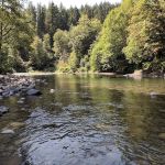 Klahowya Campground
