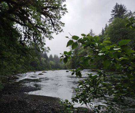 Klahowya Campground