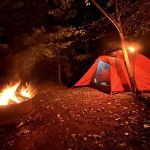 Misty Willow's Farm and Camp