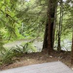 Dawleys Sol Duc River Campground