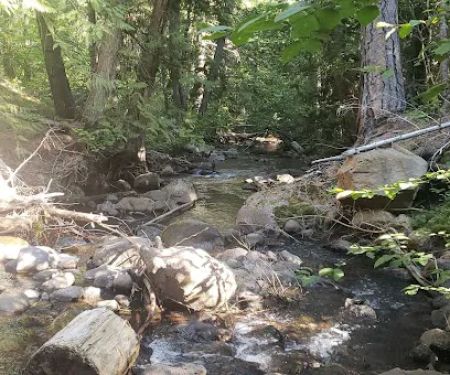 Stout Campground