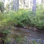 Blue Jay Campground