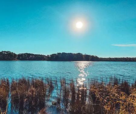 Lakelife RV Park