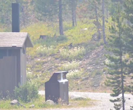 Colter Campground