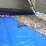 Parkside Campground