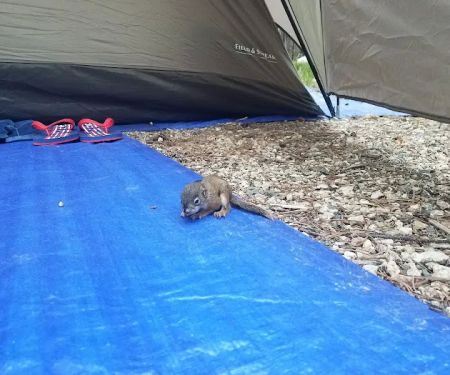 Parkside Campground