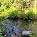 Crescent Campground