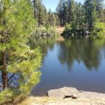 Cottonwood Pit Campground