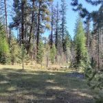 Whistler Campground