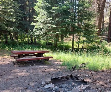 Bear Hollow Park