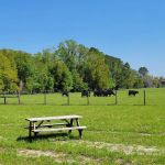 Red Rooster RV Park