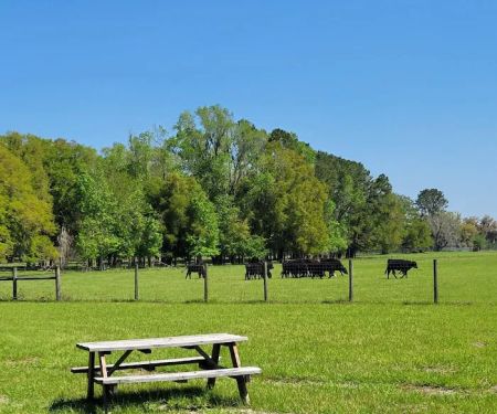 Red Rooster RV Park