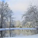 Belaire RV Park