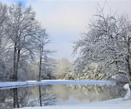 Belaire RV Park
