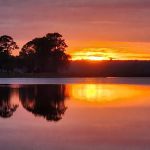 Salt Springs Resort