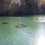 Rivers Edge RV Park