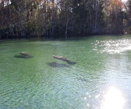 Rivers Edge RV Park