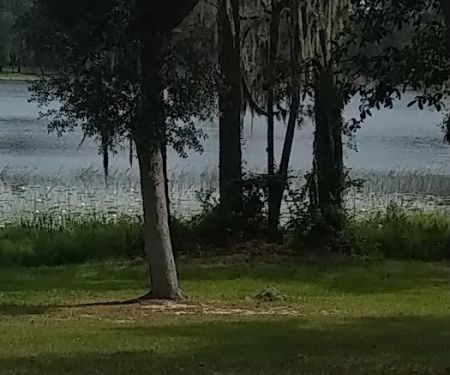 TallTimbers RV Park
