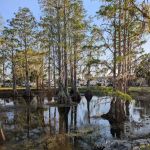 RV RESORT PARK