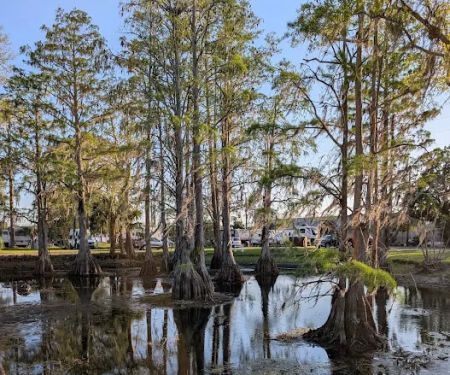 RV RESORT PARK