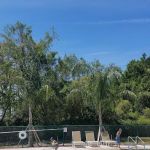 Deerwood Manufactured Home Mobile