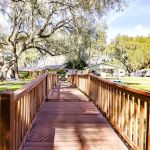 Country Oaks