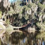 Sleepy Hollow RV Park 1 & RV Park 2