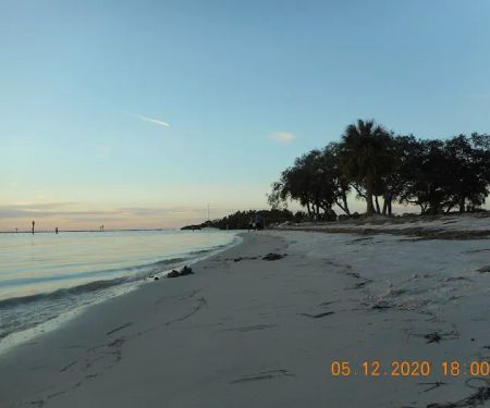 Place In the Sun